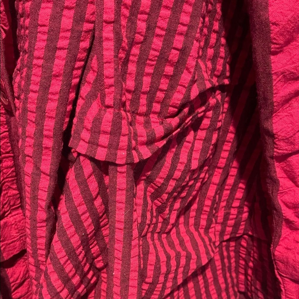 Red Striped Button-Up Top - Picture 4 of 5